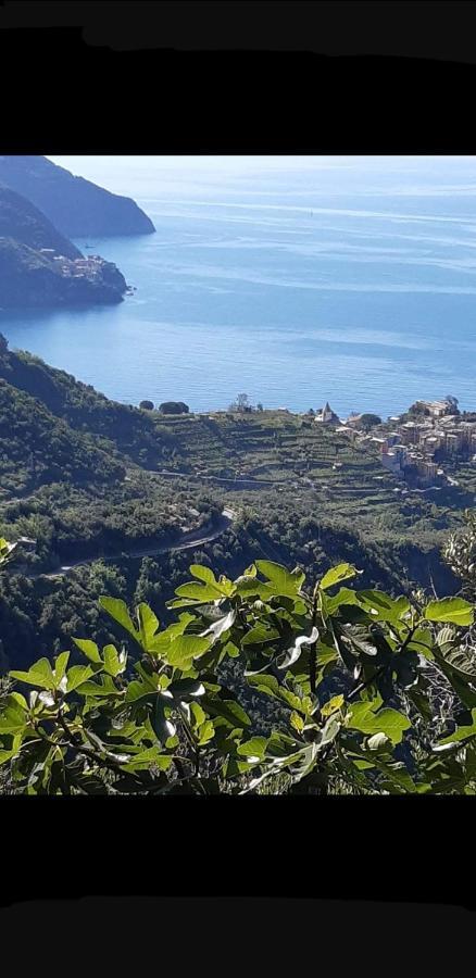 Residenza Solferino Daire Corniglia Dış mekan fotoğraf